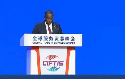2026年中国国际服务贸易交易会全球服务贸易峰会在北京举行——刘凤珍出席并致辞，共绘服务贸易开放合作新图景